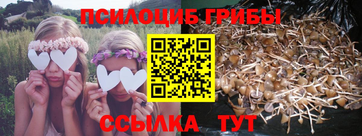Лабытнанги  Галлюциногенные грибы Cubensis  Вход с VPN 